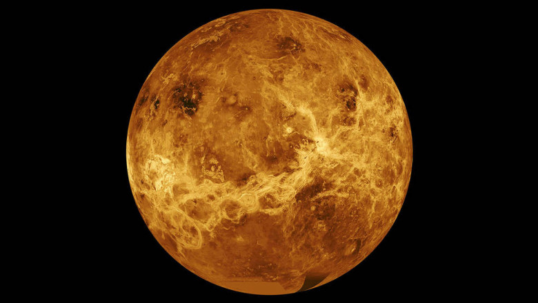 Colonii plutitoare pe Venus