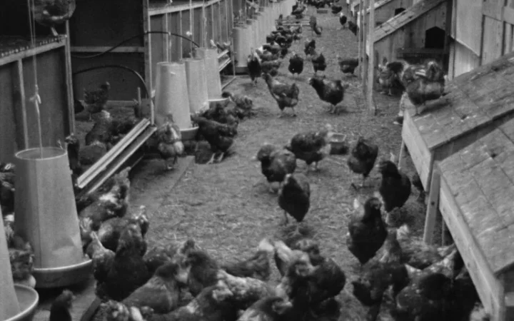 De ce aleg românii PC-ul pentru gaming în detrimentul consolelor?