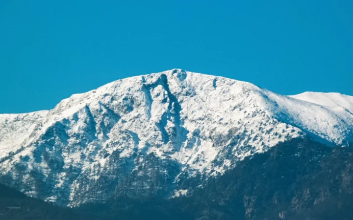 Reacție vehementă și limbaj colorat după invocarea Articolului 5: „Auzi, țațo, ce a putut să întrebe ăla!”