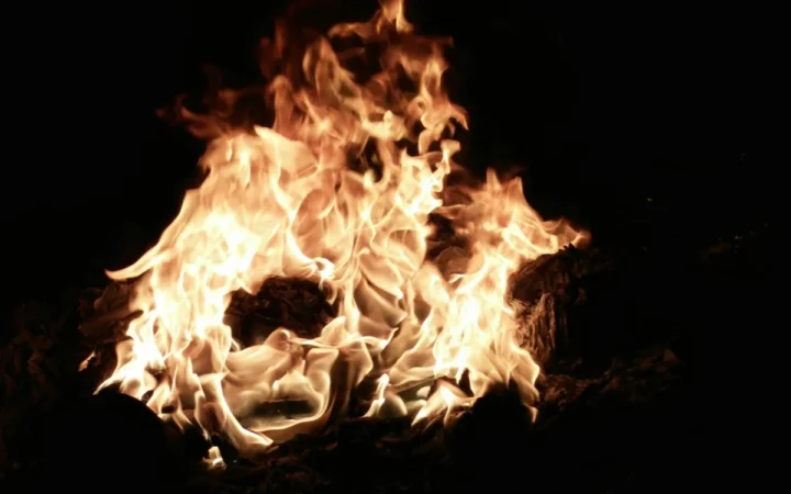 Ultima Rezistență din Munții Apuseni: Lupta Disperată a Partizanilor din Vlădeasa