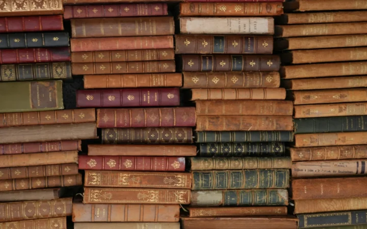 Mircea Eliade și „teroarea istoriei”: avertismentul despre suferința umană oglindită în literatură