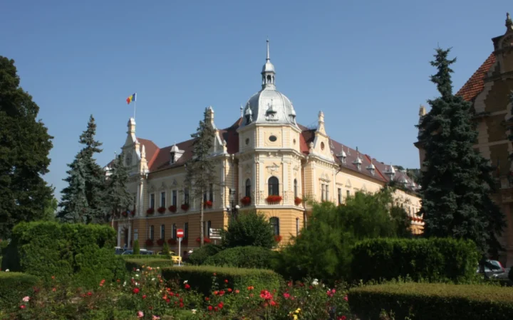 Probleme de mediu în România: poluarea aerului, gestionarea deșeurilor și pădurile în pericol
