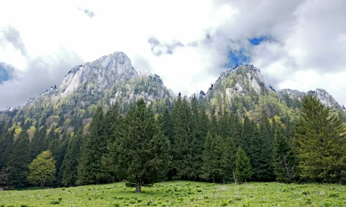 Aventură: tendințe actuale în România