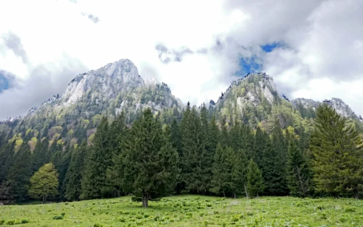 Aventură: tendințe actuale în România