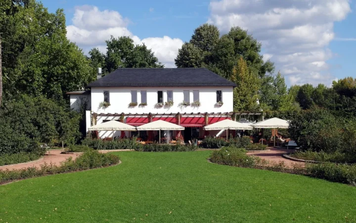 Tot mai mulți români devin vegetarieni, schimbând tradițiile alimentare bazate pe carne