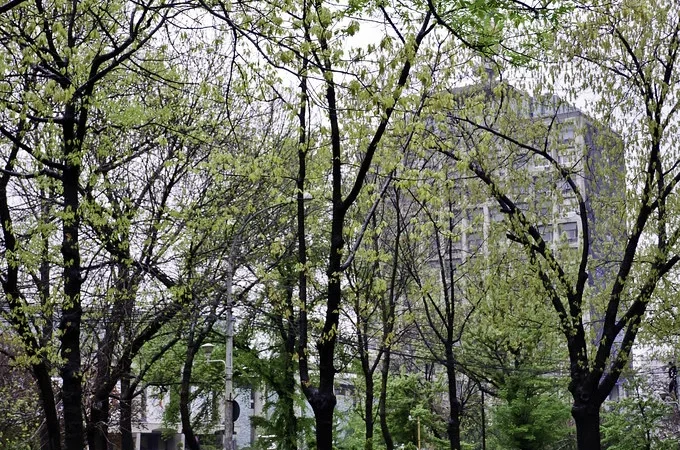 Emisiunea „ISTORII DE BUN GUST” eliminată din grila TVR 2 după 8 sezoane de succes